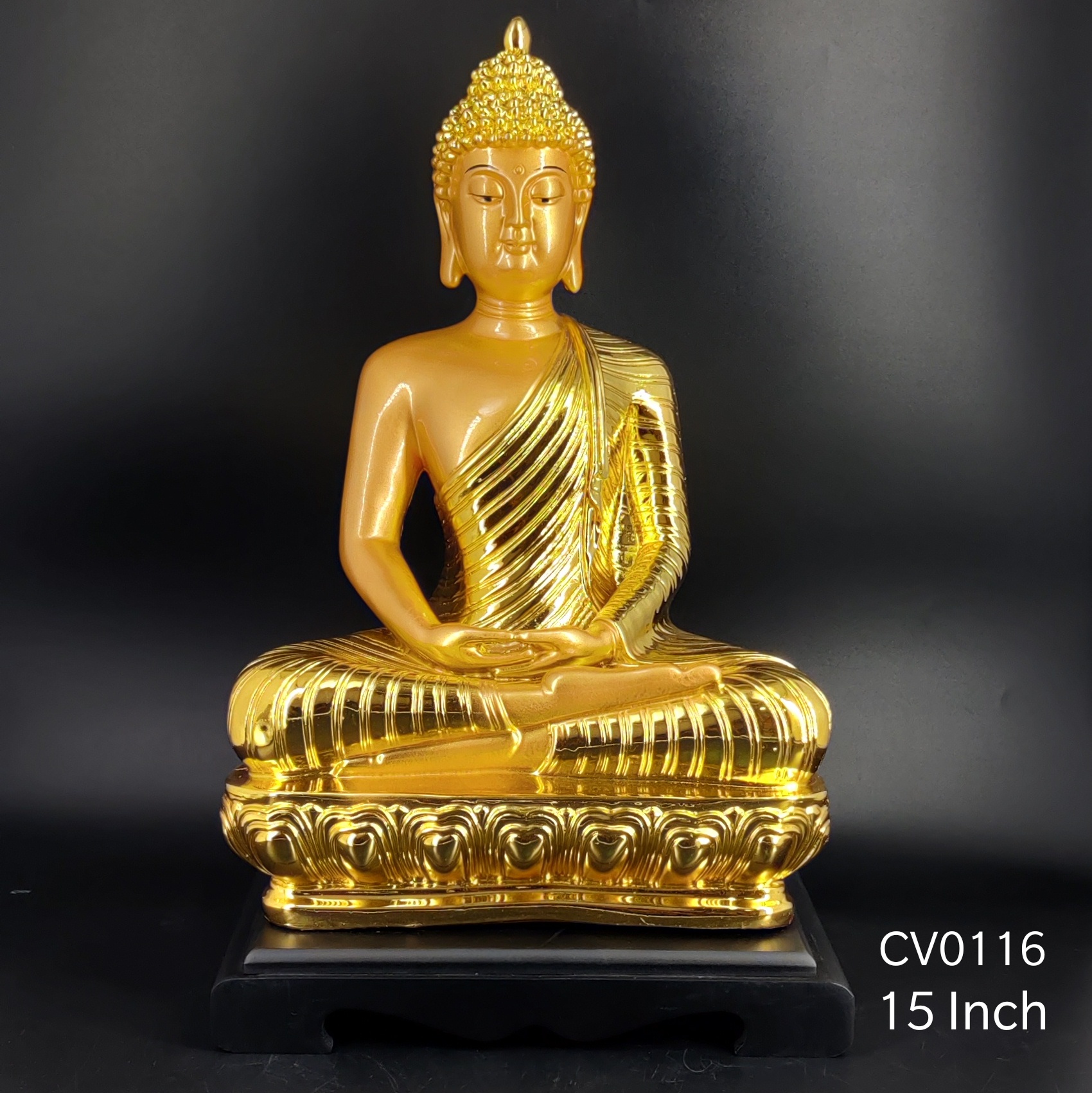 BUDH (6)